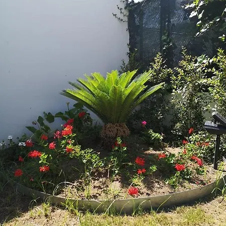 La Casa Di Anna Taureana